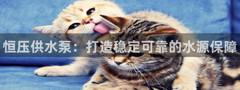 qy球友会体育官下载