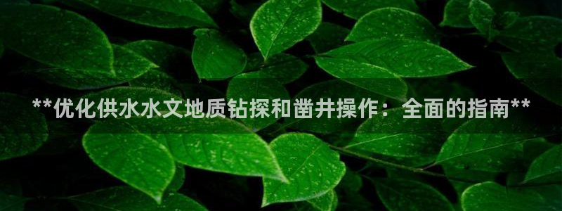 球友会apy