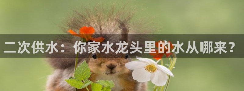 球友会聚餐发言怎么说