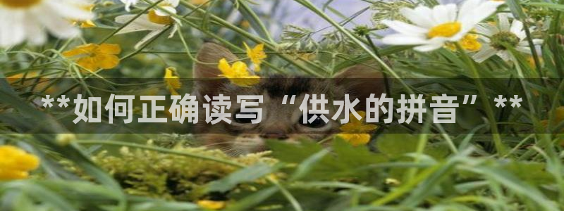 球友会聚餐发言