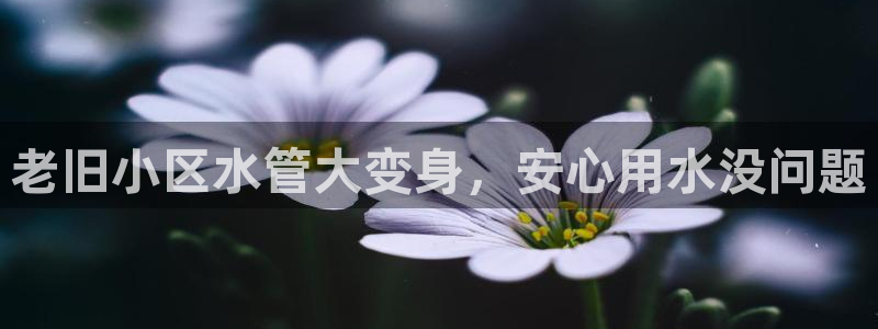 球友会软件
