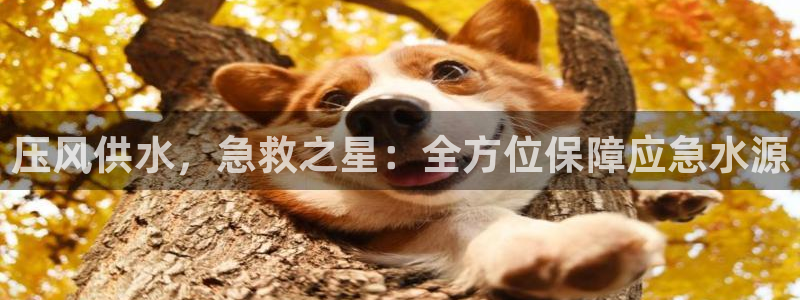 球友会在线登录账号吗安卓