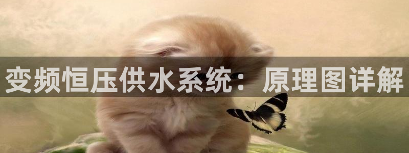 球友会开户礼金在哪领