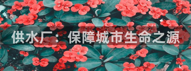 球友会赛程
