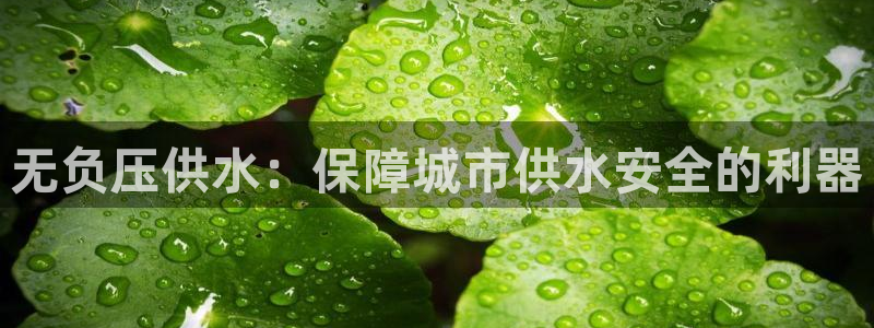 球友会体育app下载安卓手机