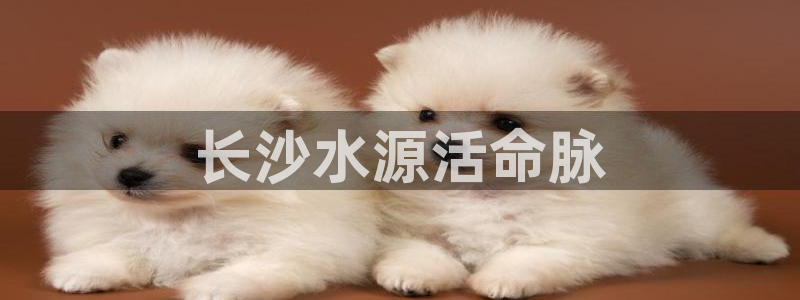 球友会app官网下载安卓