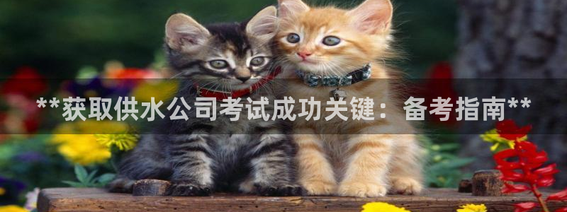 球友会官网下载