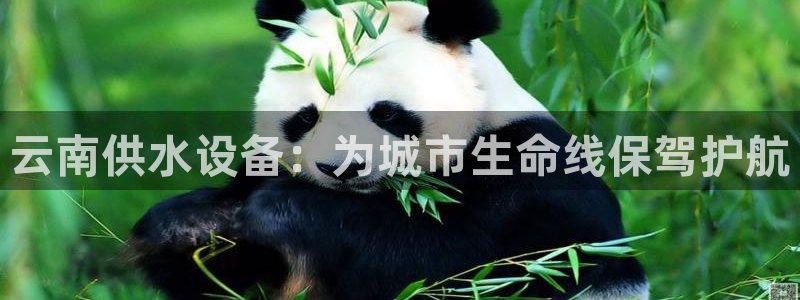 球友会网站多少钱一个