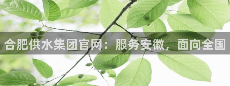 球友会链接
