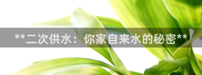 球友会官方网站
