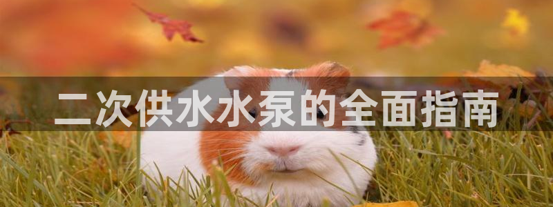球友会下载安装