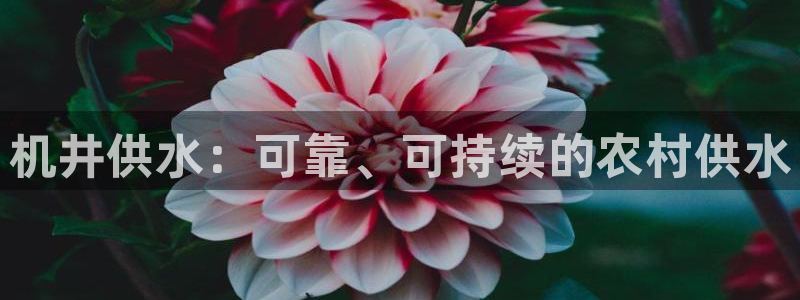 球友会app官方网站下载