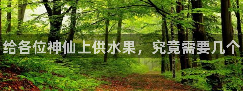 球友会官网入口在哪里