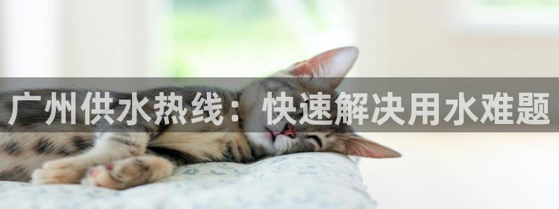 球友会提现不到账