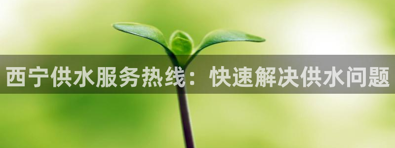 球友会英文怎么说呢翻译