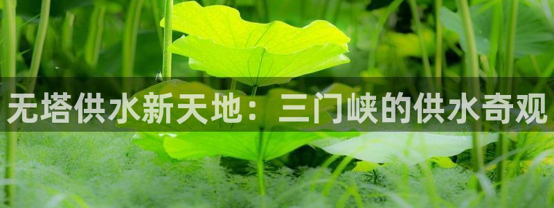 球友会app安全吗可靠吗