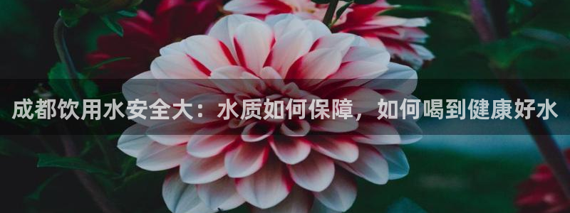球友会app干啥的呀