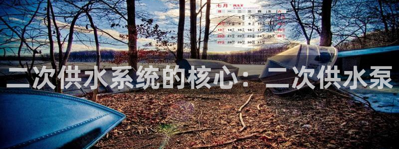球友会体育app下载官网