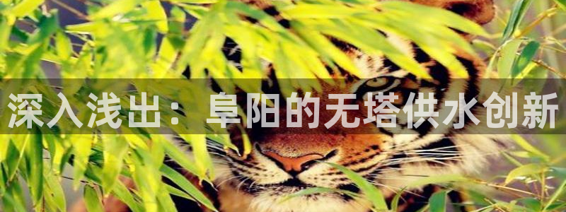 球友会logo