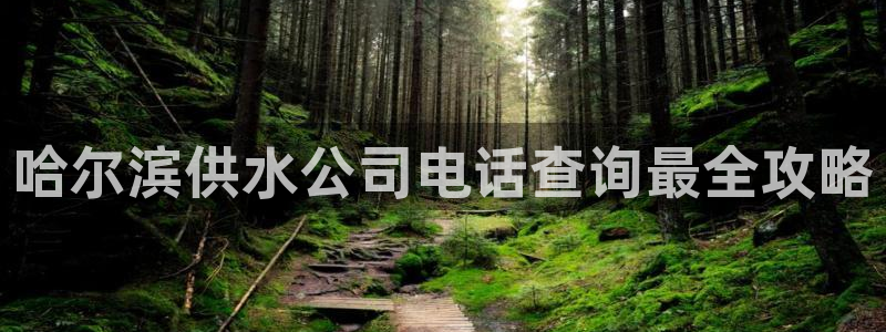 球友会体育app下载官网