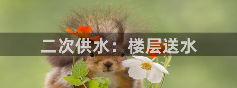 球友会首页