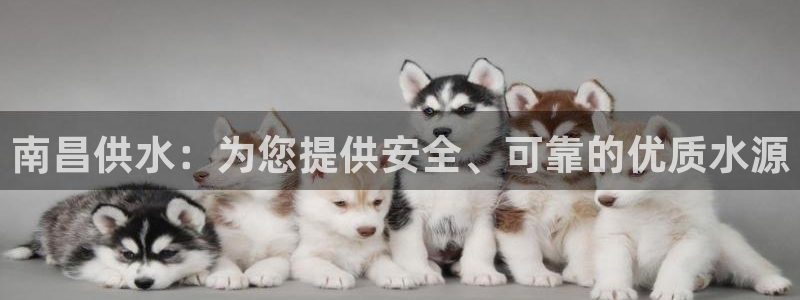 球友会体育app下载官网