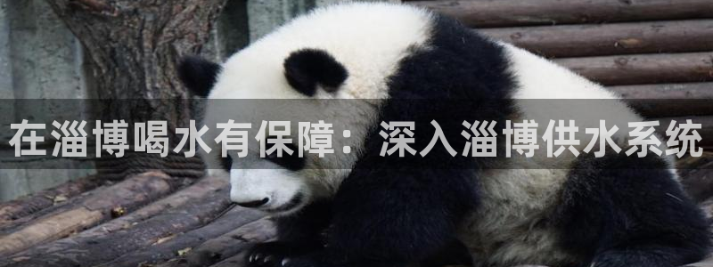 球友会官网入口