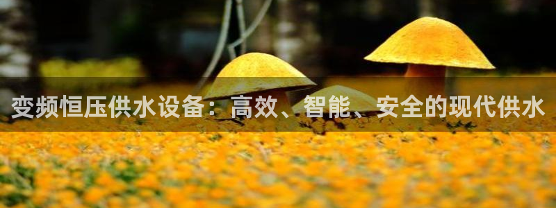 球友会app官网下载安卓