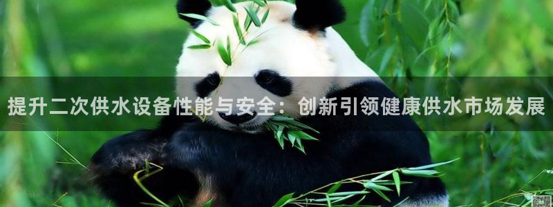 球友会比赛结果查询网站