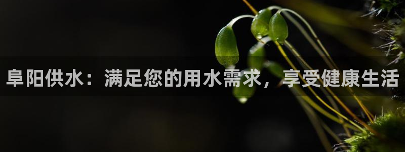 球友会比尔森胜利塔波斯科