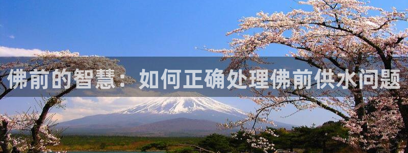 球友会的会字是哪个会