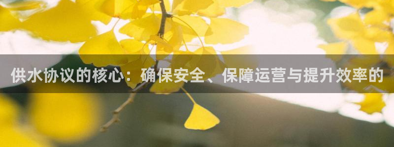 球友会登录不上的原因