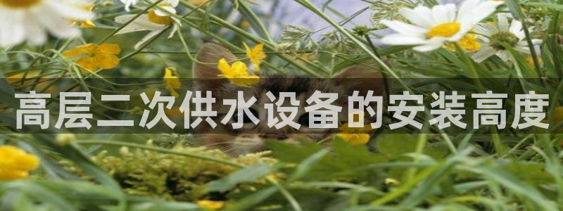 球友会买球打牌绑卡有风险吗?