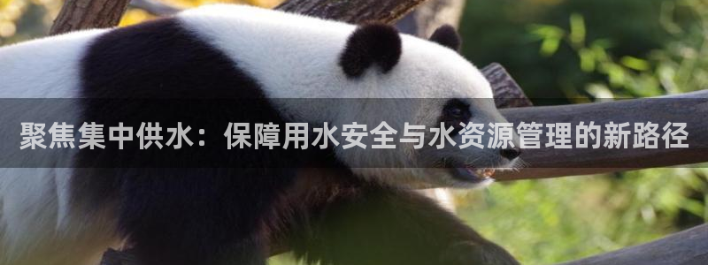 球友会官网入口