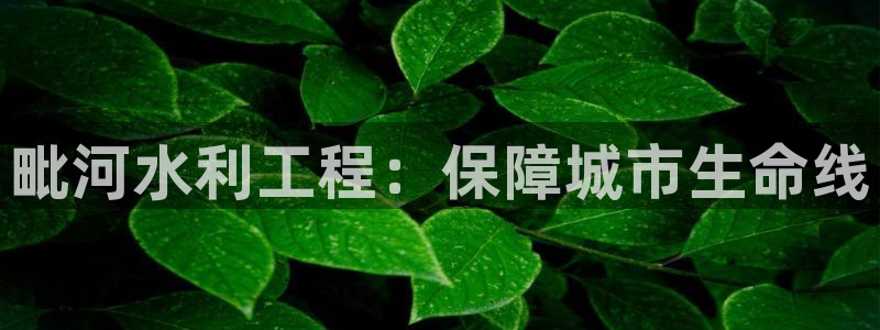 球友会官网登录入口手机版